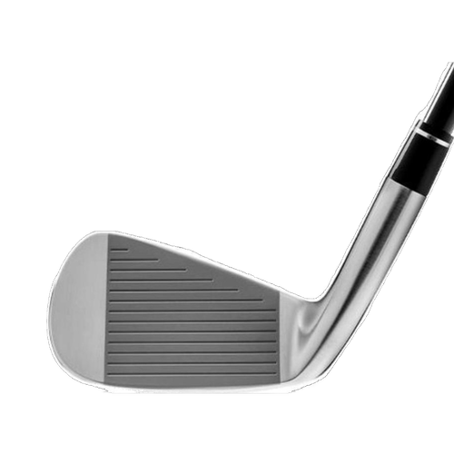 Honma TR20 V 4-10 Iron Mens/Right - View 2