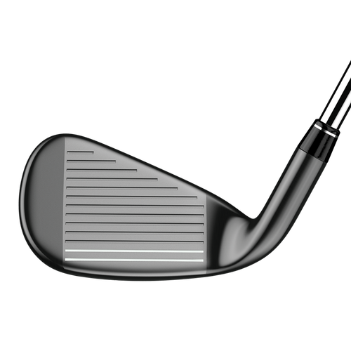 Big Bertha Irons - View 4