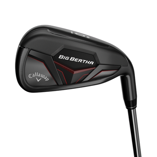 Big Bertha Irons - View 2