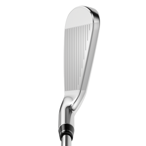 Apex DCB 21 Irons - View 2