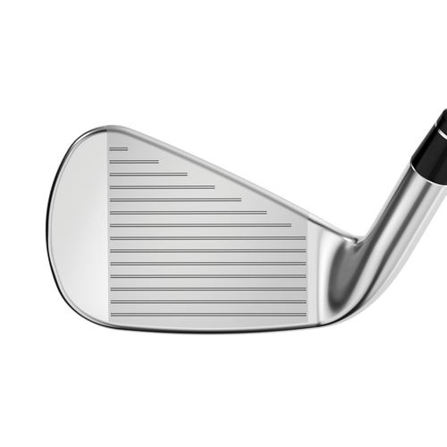 Apex DCB 21 Irons - View 3