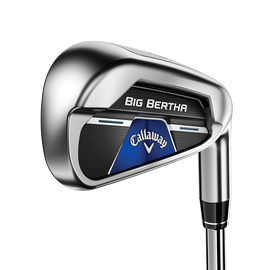 Big Bertha B21 Irons