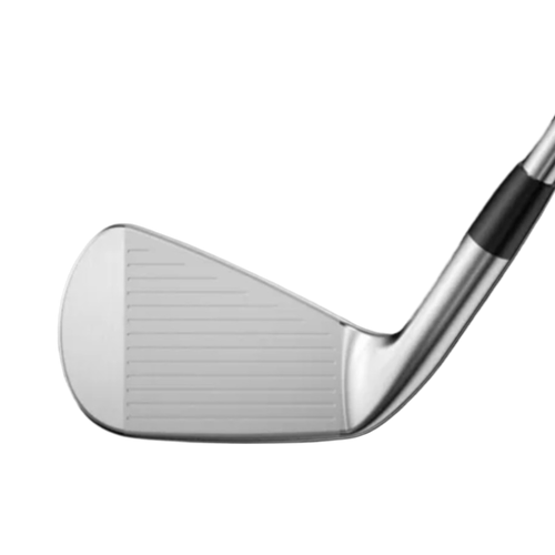 Mizuno Pro 225 Irons - View 2