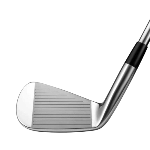 Mizuno Pro 221 Irons - View 2