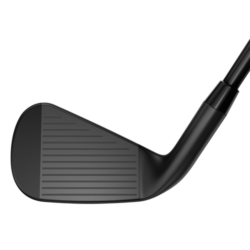 Rogue Pro Black Irons - View 4