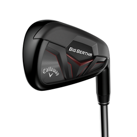 Big Bertha Irons